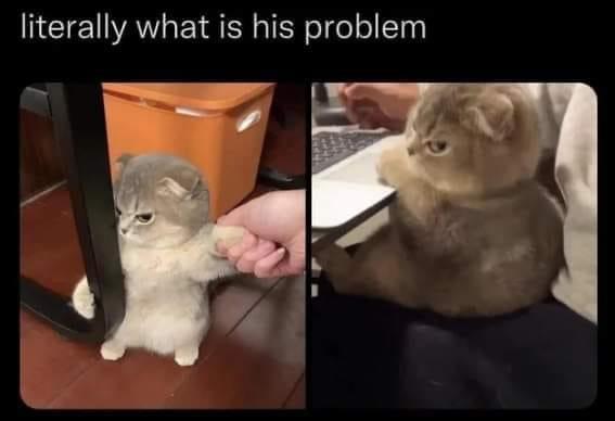 what+is+his+problem%3F