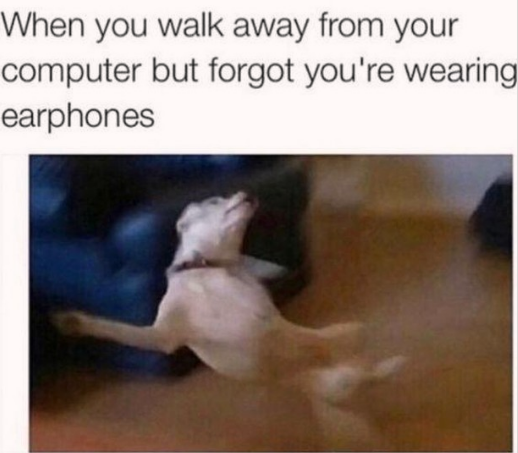 and+for+no+reason+your+life+flashes+before+your+eyes