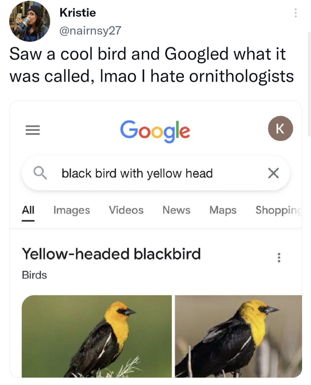 yellow+headed+blackbird