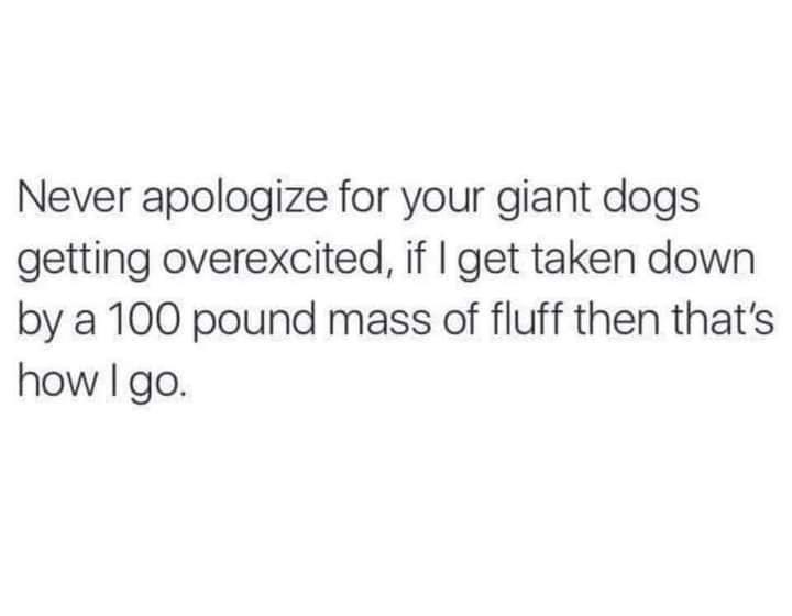 not+the+worst+way+to+go%2C+tbh