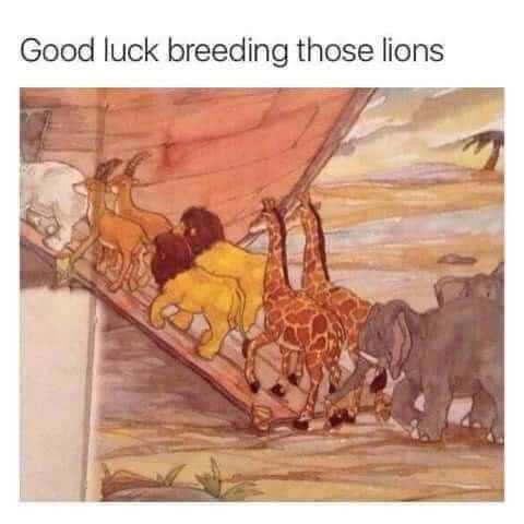 Good+luck+breeding+those+lions%21