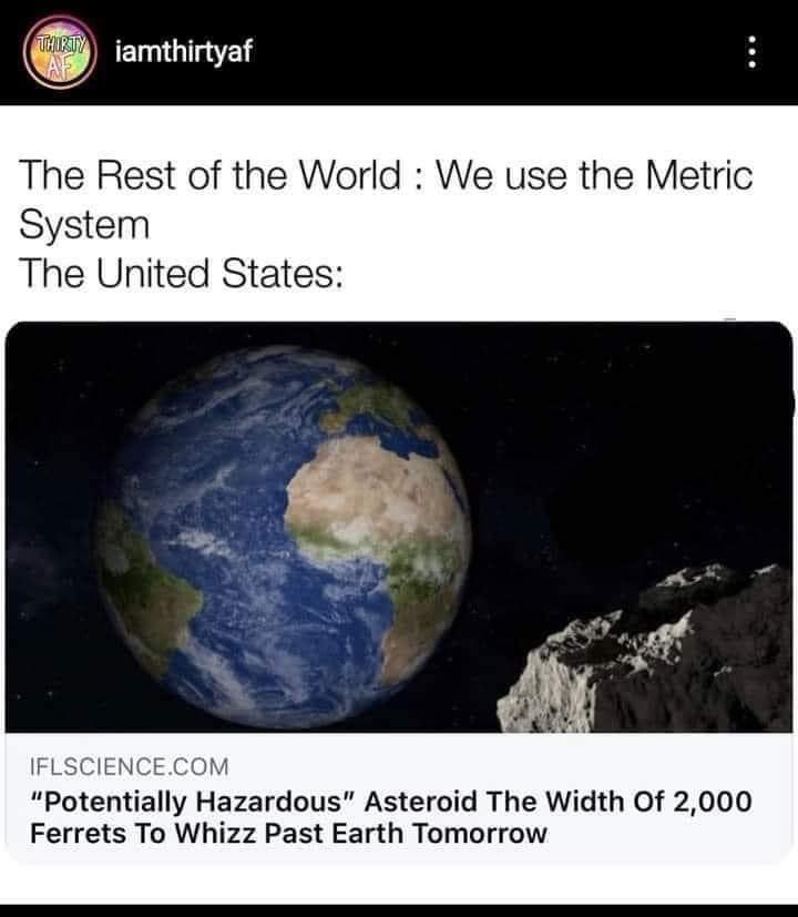 that%26%238217%3Bs+a+lot+of+ferrets%21