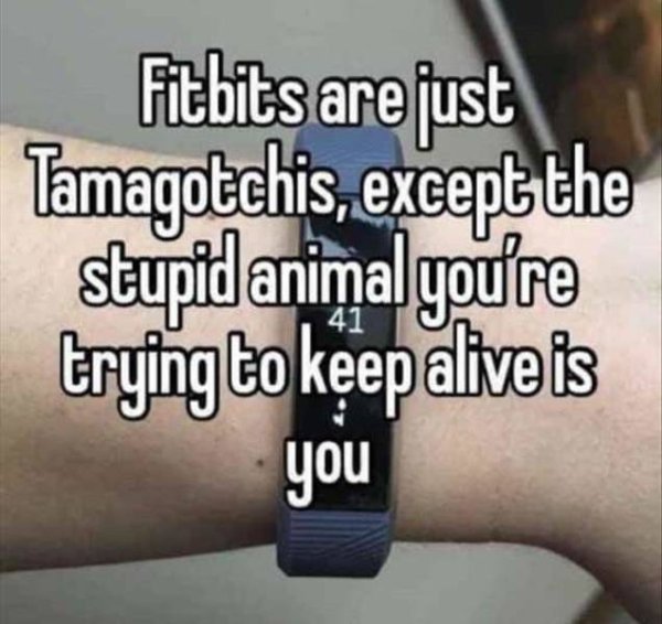 a+fitbit+is+just+a+tamagotchi+for+humans