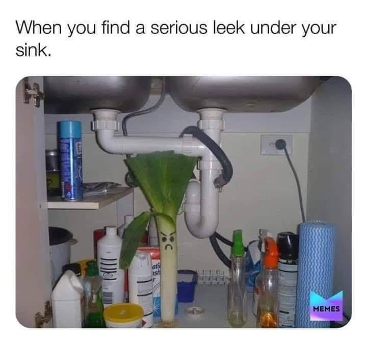 this+would+be+a+good+prank+to+pull+on+your+significant+other.+just+make+sure+they+don%26%238217%3Bt+call+a+plumber