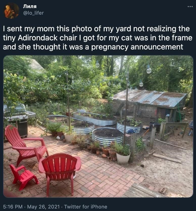 a+cat+counts+as+a+baby+to+some+people