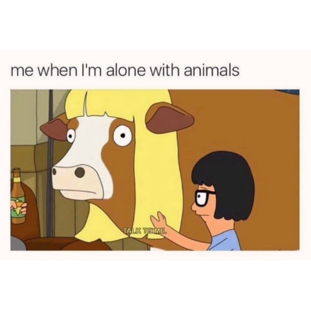 I+won%26%238217%3Bt+tell+anyone+your+secrets