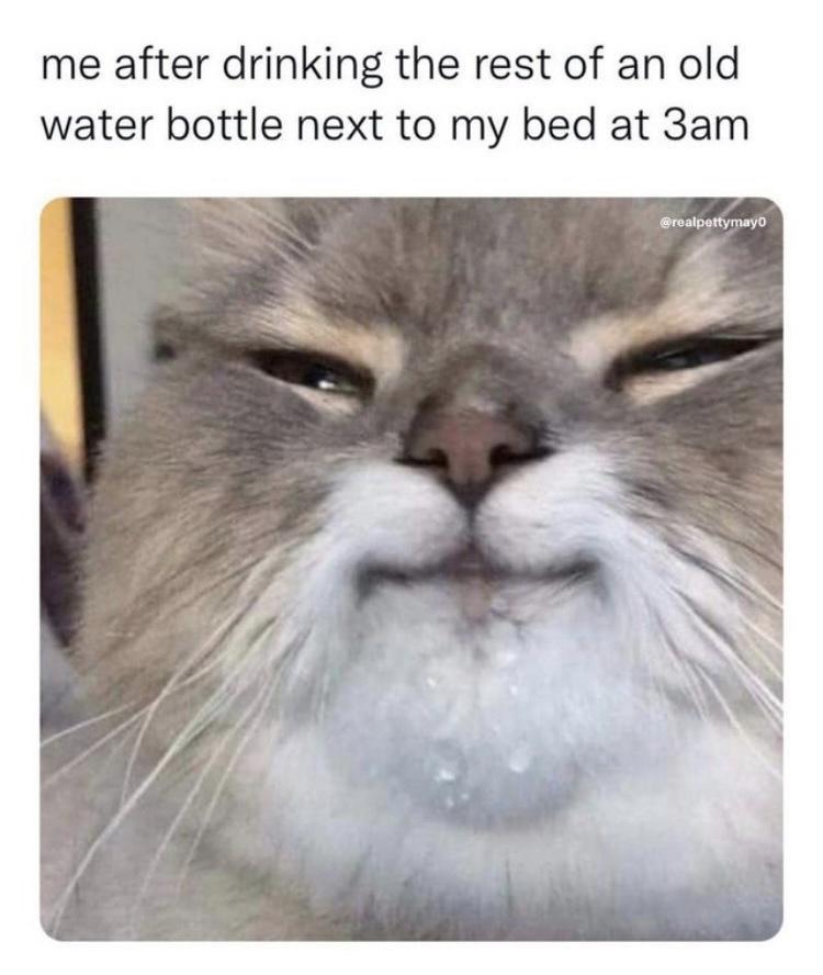 bed+water+is+the+best+water