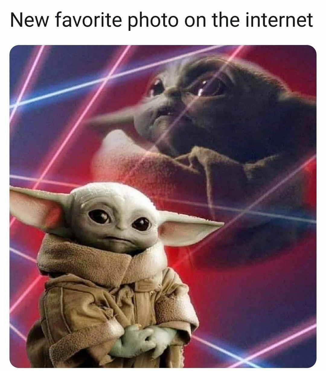 best+photo+on+the+internet