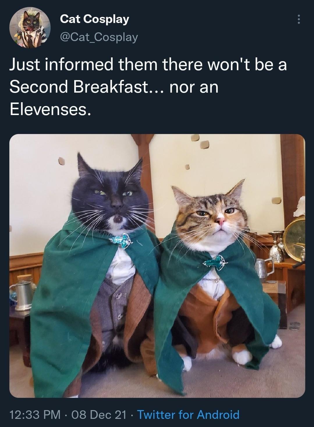 this+betrayal+shall+not+go+unpunished