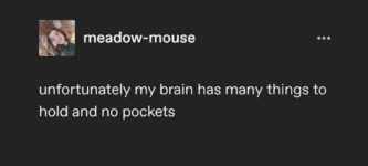 brain+pockets