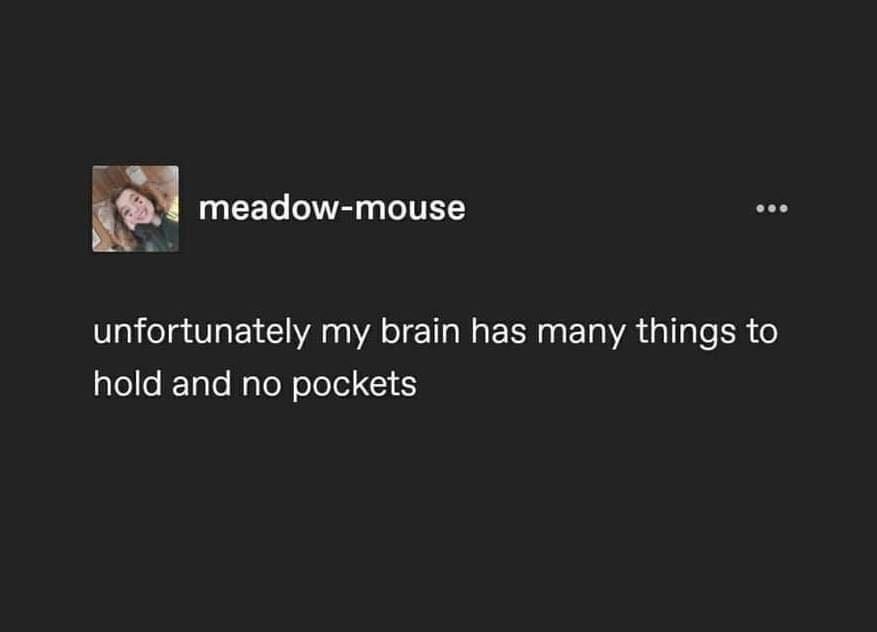 brain+pockets