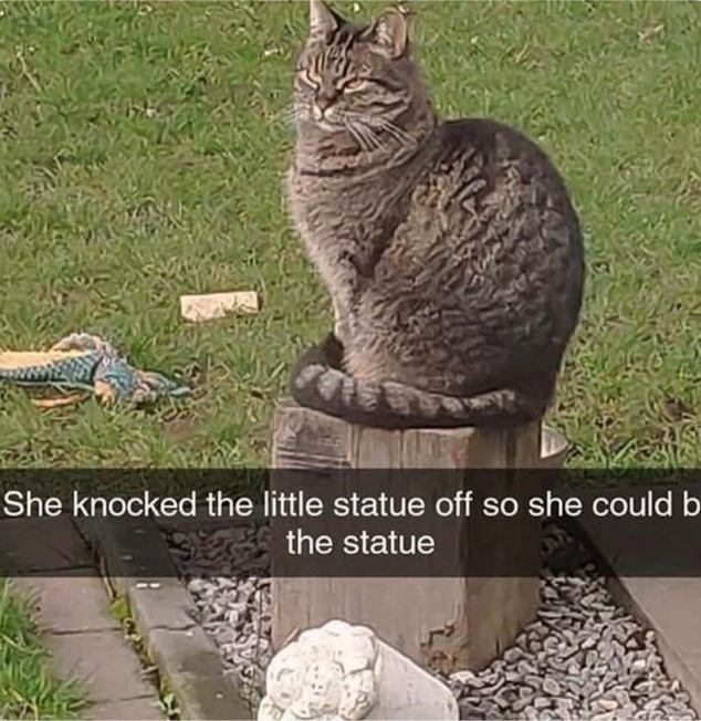 she+became+the+statue