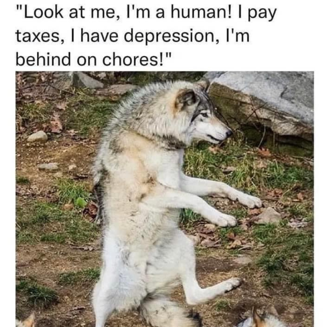 animals+love+playing+the+game+%26%238220%3Bhuman%26%238221%3B