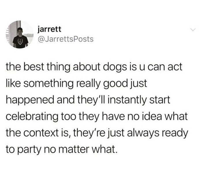 dogs+are+always+ready+to+celebrate