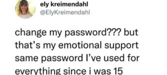 emotional+support+password