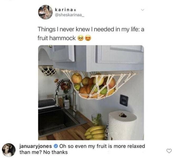 a+fruit+hammock%2C+for+when+you+want+your+produce+to+be+more+relaxed+than+you