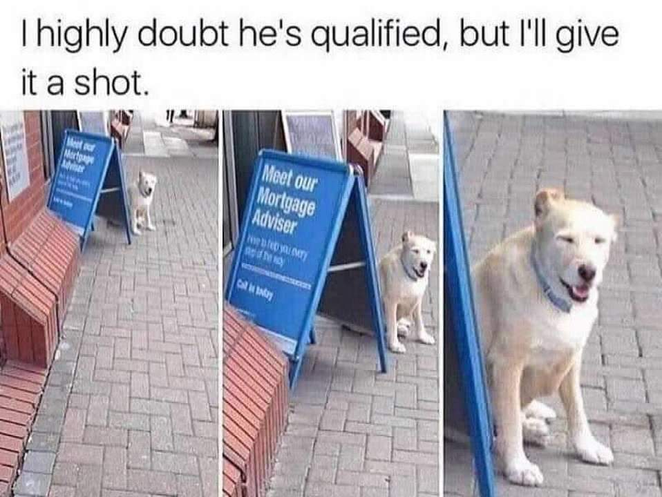 highly+qualified+mortgage+advisor