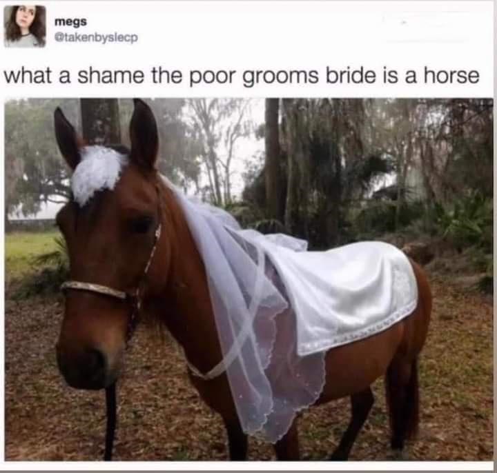 horse+bride
