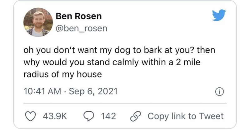 if+you+weren%26%238217%3Bt+standing+there+my+dog+wouldn%26%238217%3Bt+bark+at+you