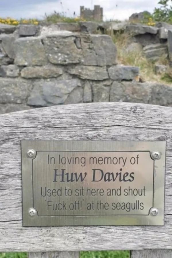huw+davies+fought+the+good+fight+against+the+seagulls+until+the+very+end