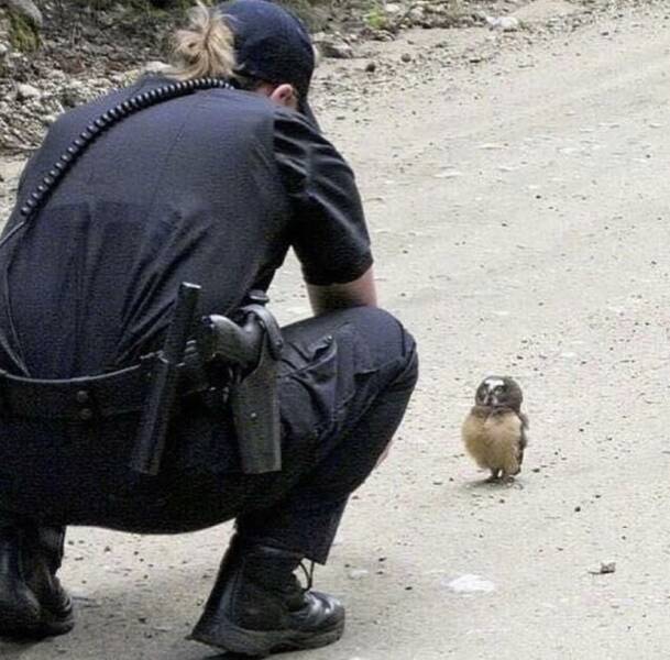 excuse+me%2C+i+just+need+to+ask+you+a+few+questions