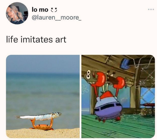 From+spongebob+to+the+beach