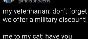 military+cat