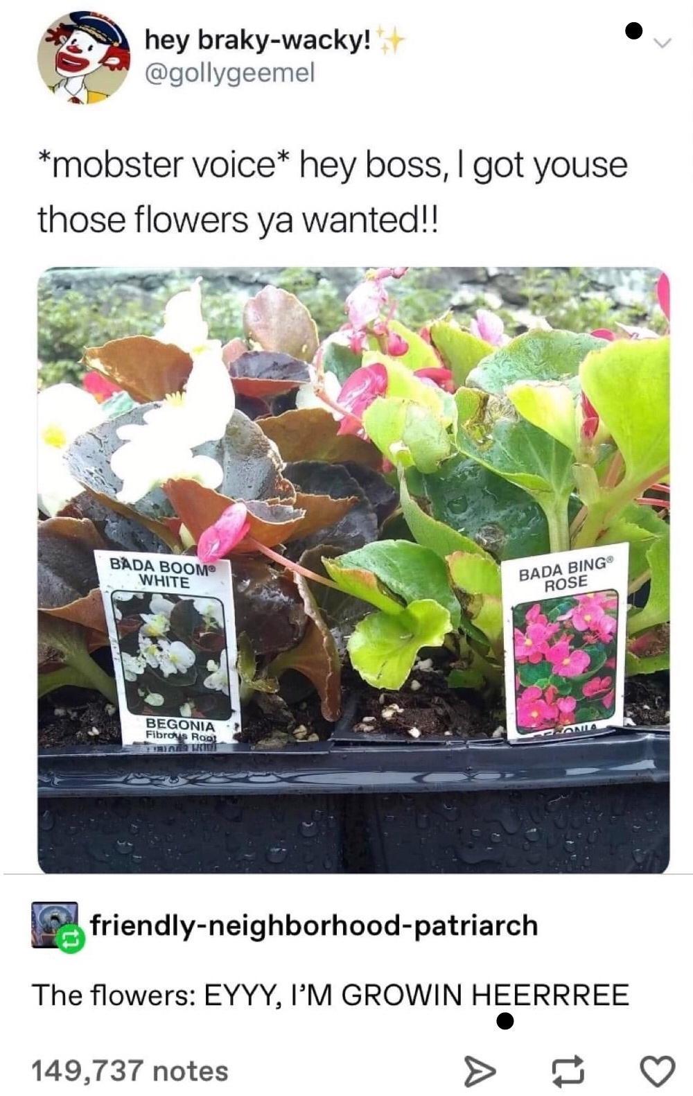 mobster+flowers