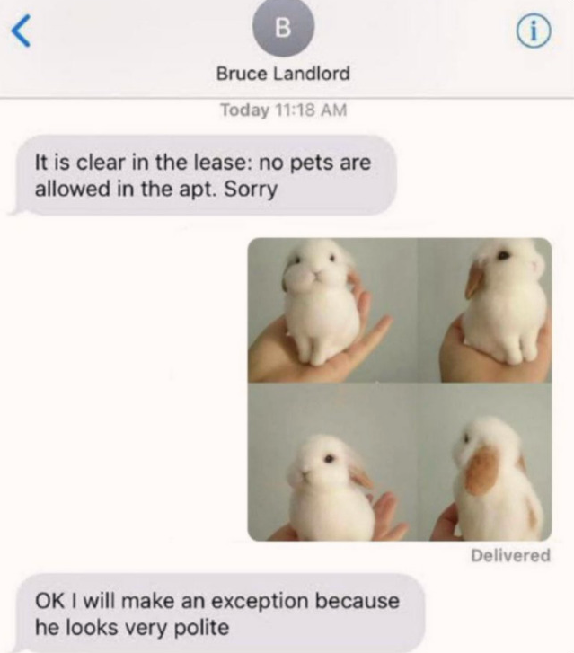 the+only+acceptable+pet+allowed+on+the+lease