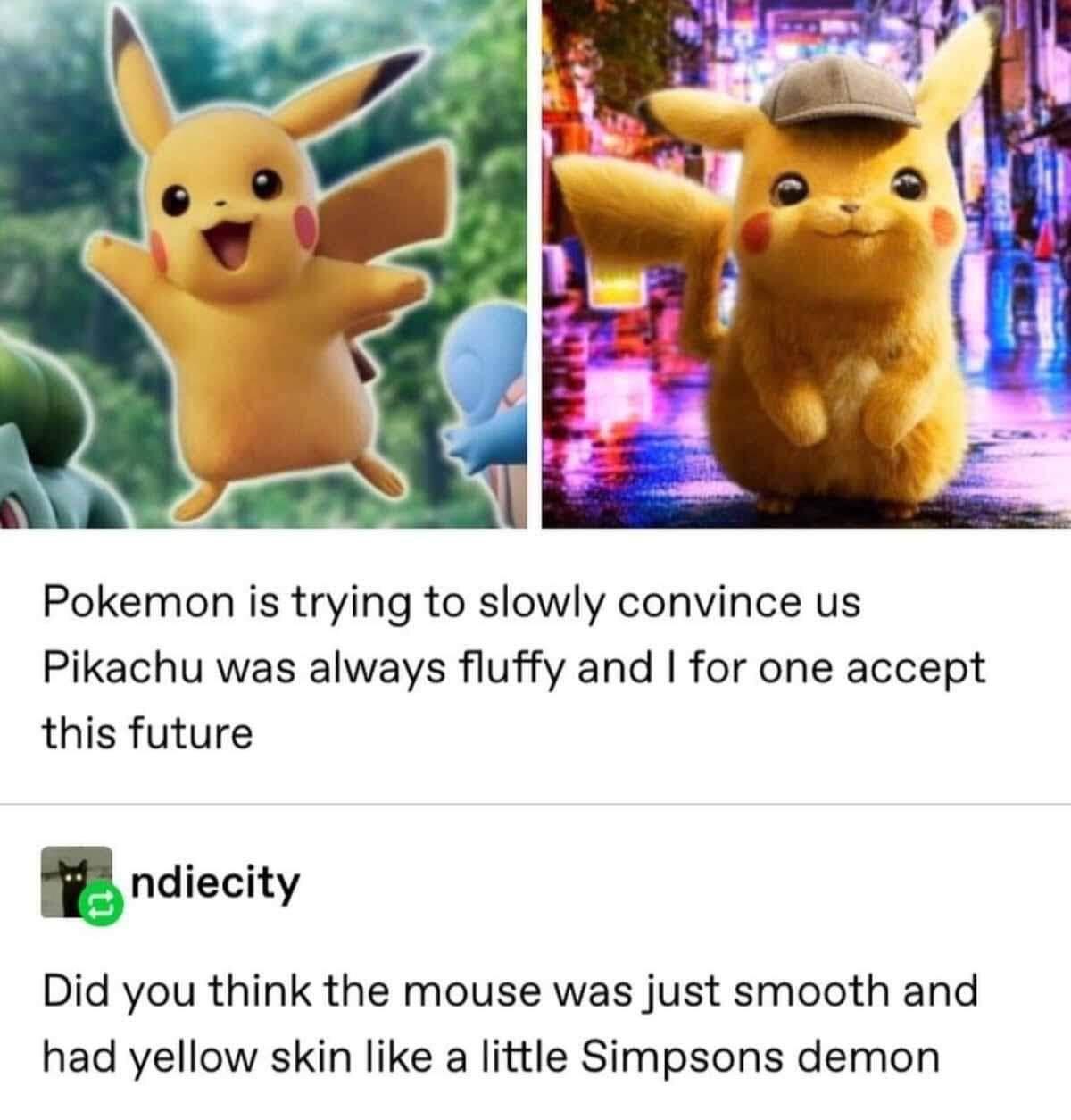 pikachu+was+always+fluffy