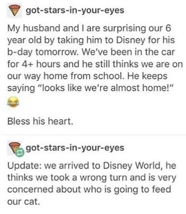 Should+have+brought+the+cat+to+disney+world+i+guess