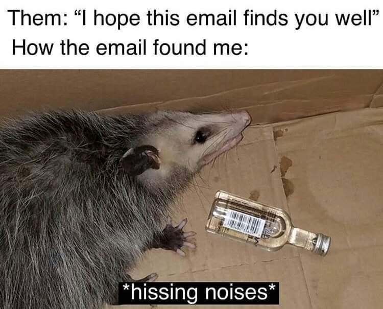 the+email+never+finds+me+well