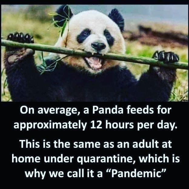 the+real+reason+it+was+called+a+pandemic