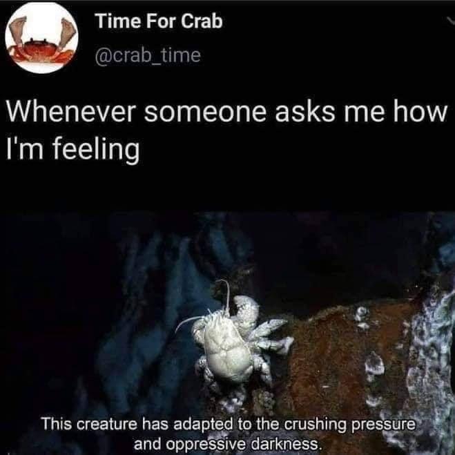 am+i+this+creature%3F