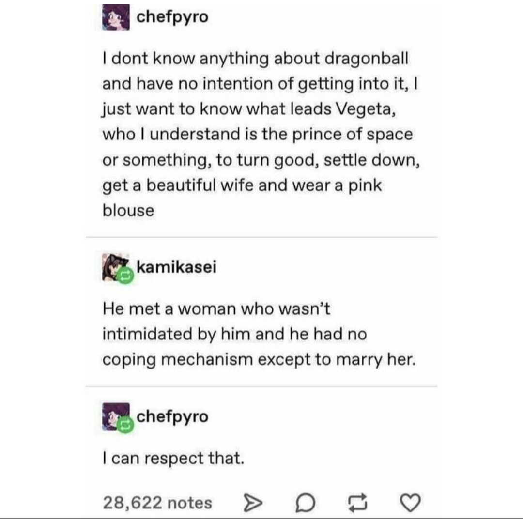 vegeta+met+his+match