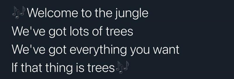 welcome+to+the+jungle+we+have+endless+trees