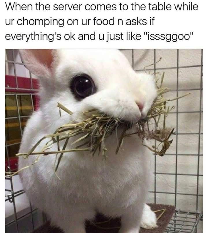 servers+have+the+best+timing+in+the+world