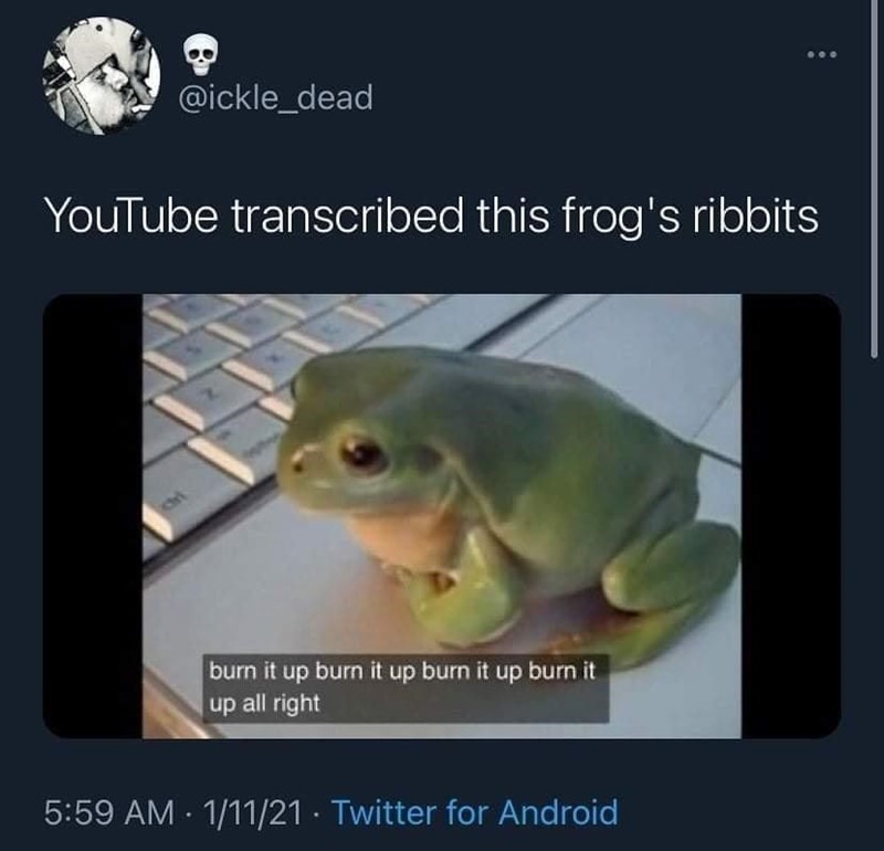youtube+frog+translation