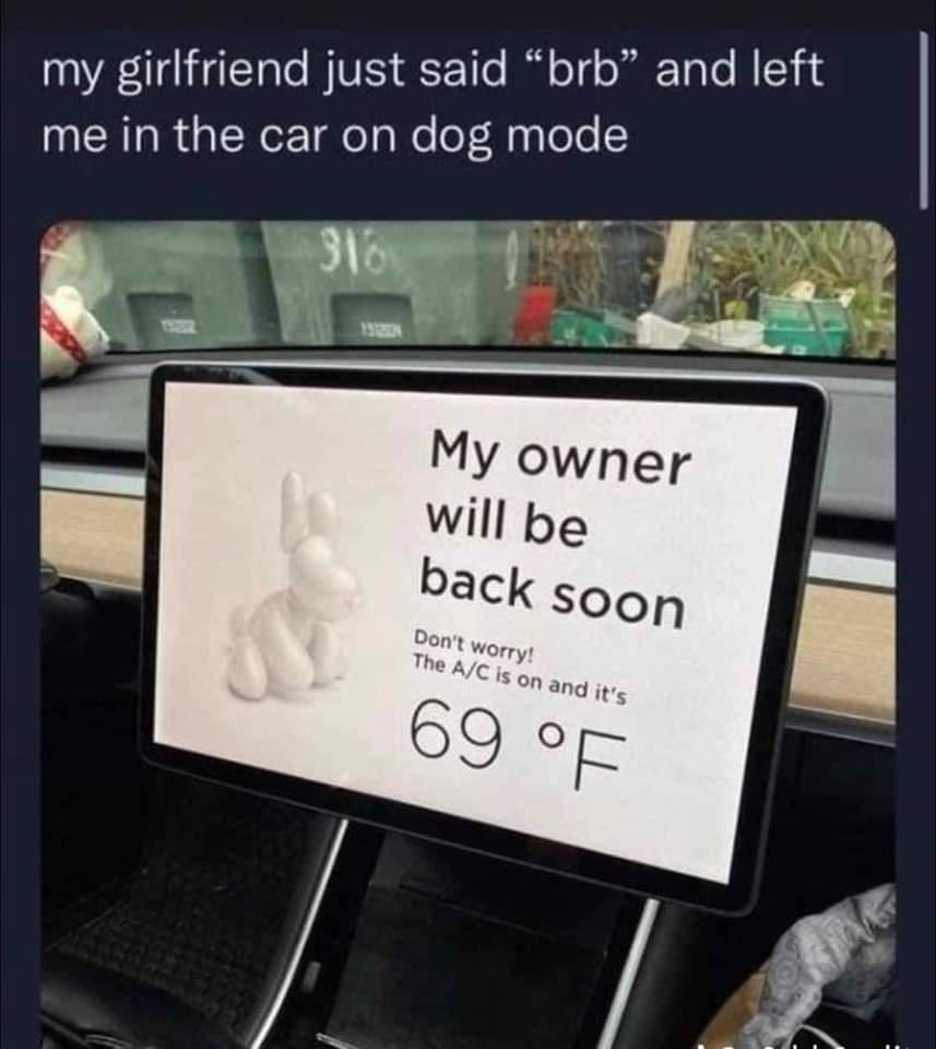 because+you%26%238217%3Bre+a+dog