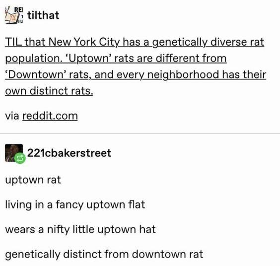 uptown+rat