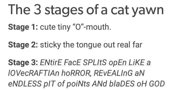 cat+yawn+monster