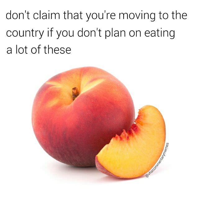 gonna+eat+a+lot+of+peaches