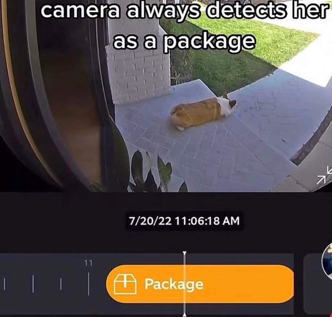 your+package+has+been+delivered