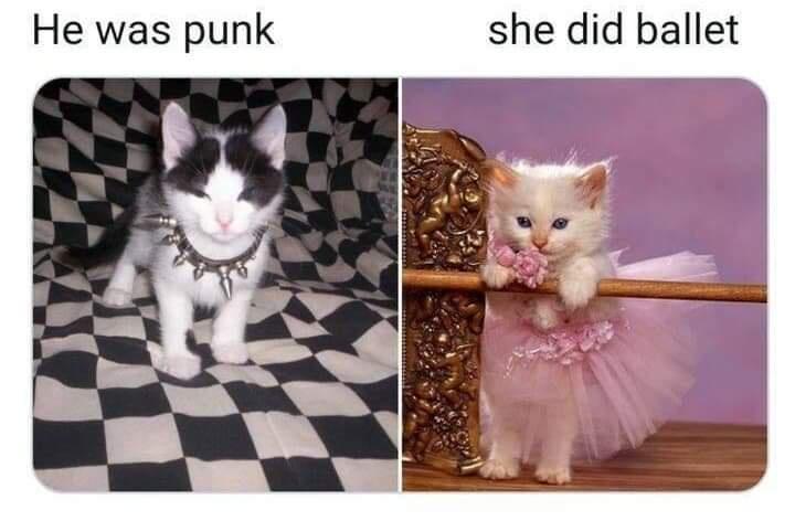 What+more+can+i+say%3F