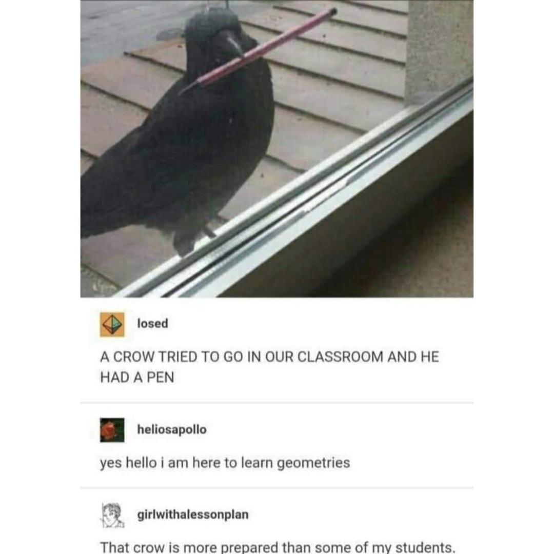 academic+crow