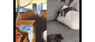art+is+cat