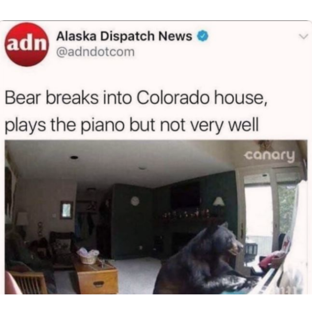 he+was+trying+his+best