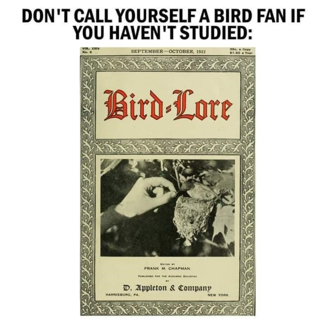 bird+lore