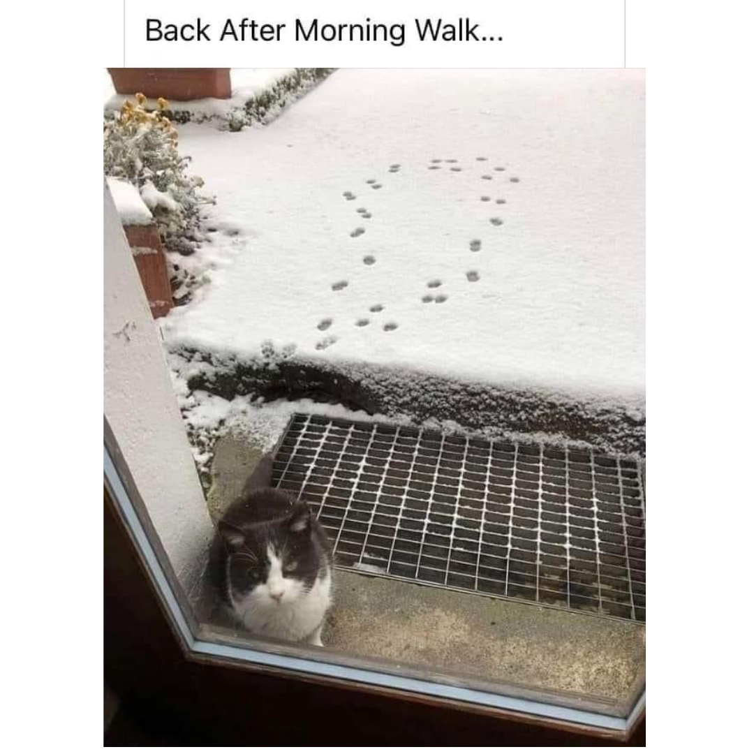 a+terrible+mistake+was+made