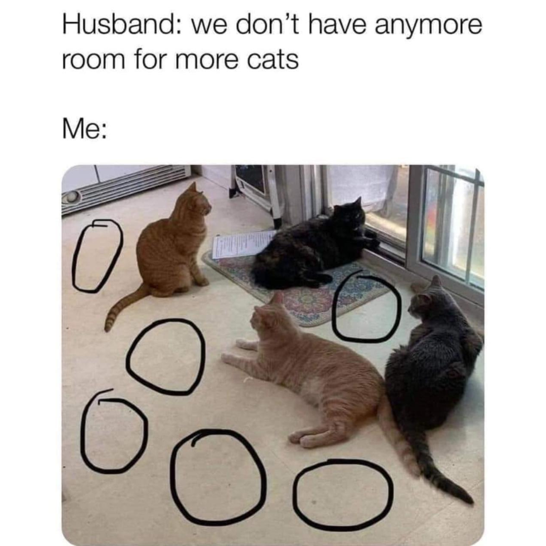 looks+like+there%26%238217%3Bs+plenty+of+space+for+new+cats